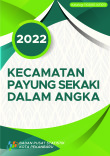 Kecamatan Payung Sekaki Dalam Angka 2022